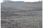 Property photo 26 - 98+/- Acres Offered in 6 Tracts or Combinations, Noble County, Indiana Farm